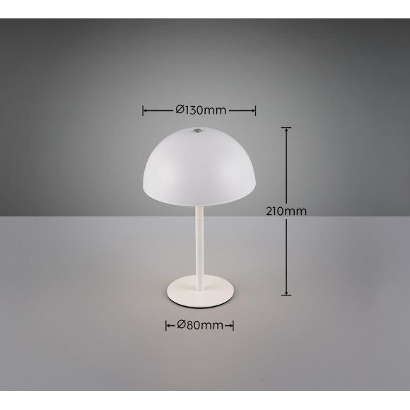 lampa stołowa MUNOZ R54891131 RL | Sklep z lampami lampa stołowa MUNOZ R54891131 RL | Sklep z lampami