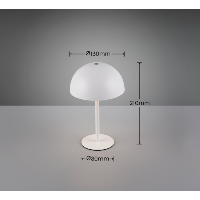 lampa stołowa MUNOZ R54891131 RL | Sklep z lampami lampa stołowa MUNOZ R54891131 RL | Sklep z lampami