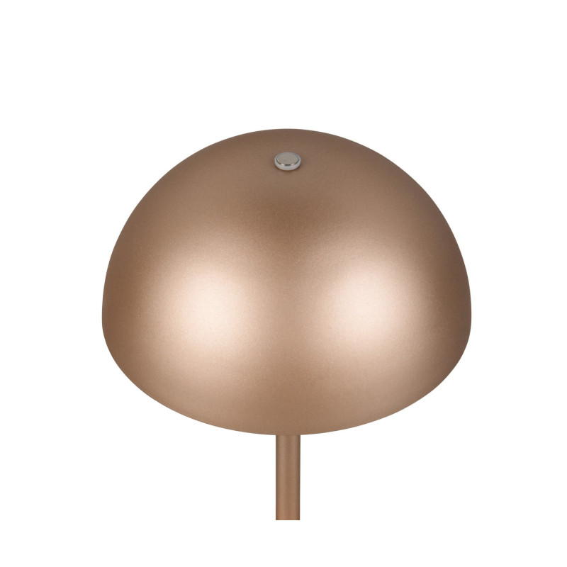 lampa stołowa MUNOZ R54891165 RL | Sklep z lampami lampa stołowa MUNOZ R54891165 RL | Sklep z lampami