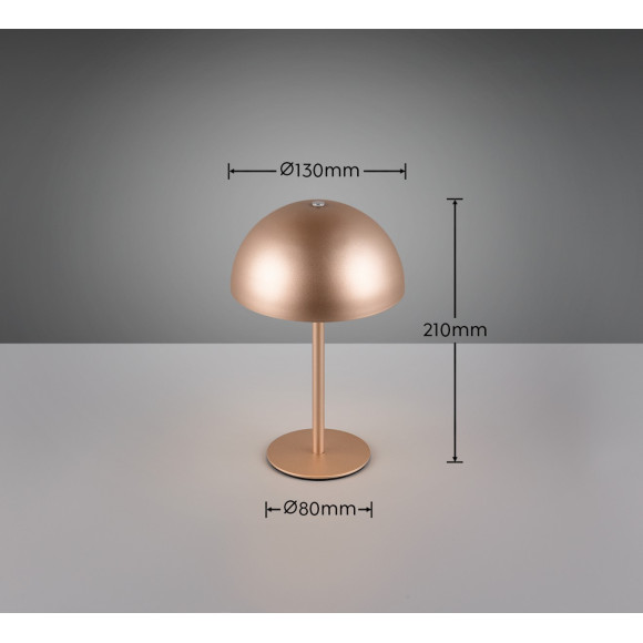 lampa stołowa MUNOZ R54891165 RL | Sklep z lampami lampa stołowa MUNOZ R54891165 RL | Sklep z lampami