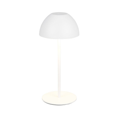 ORTIZ R55601131