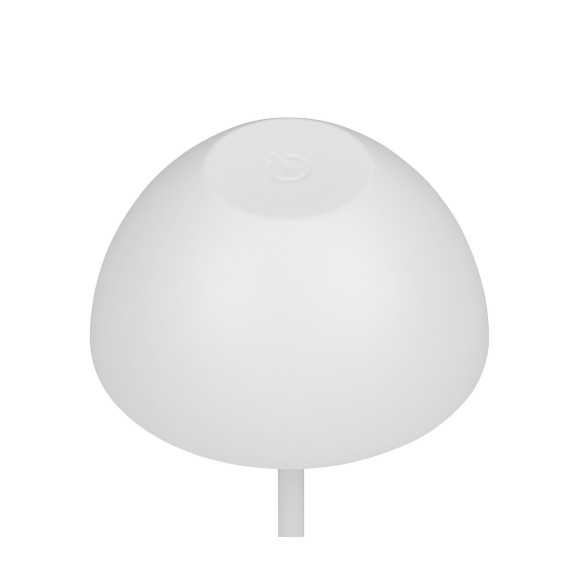 ORTIZ R55601131