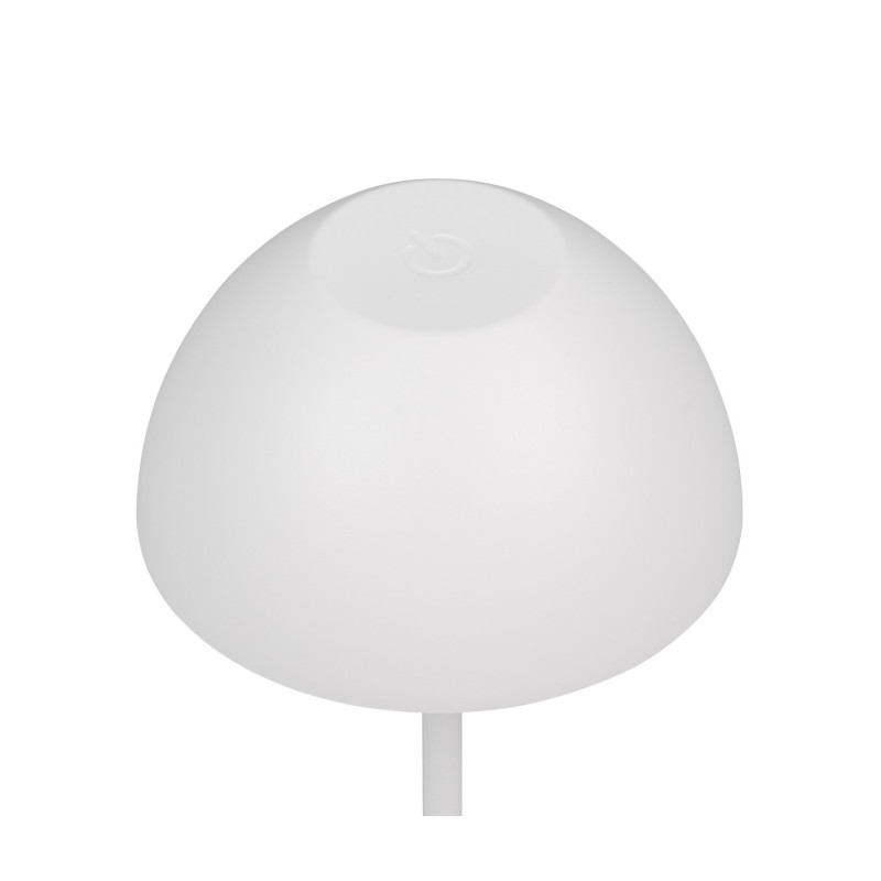 ORTIZ R55601131