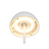 lampa stołowa ORTIZ R55601131 RL | Sklep z lampami lampa stołowa ORTIZ R55601131 RL | Sklep z lampami