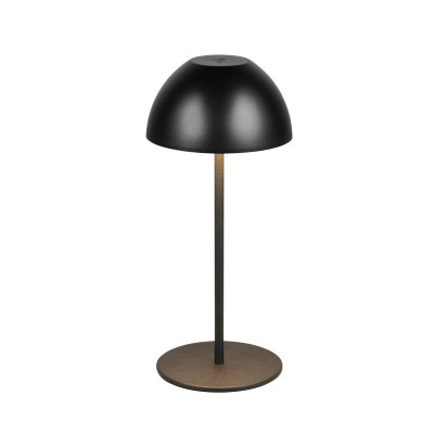 ORTIZ R55601132