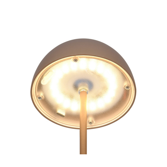 lampa stołowa ORTIZ R55601165 RL | Sklep z lampami lampa stołowa ORTIZ R55601165 RL | Sklep z lampami