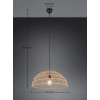 PAULETTE R36141026
