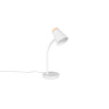 PONGO R55831101