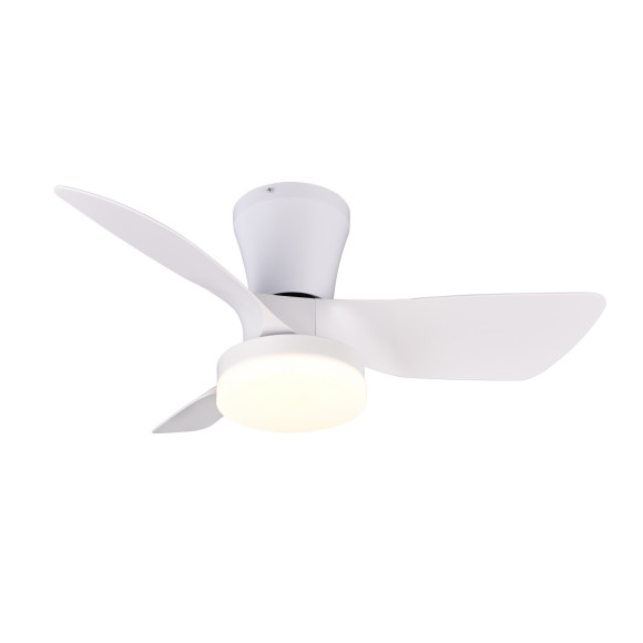 RANDERS R64412131