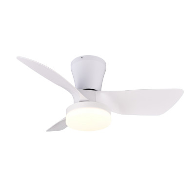 RANDERS R64412131