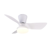 RANDERS R64412131
