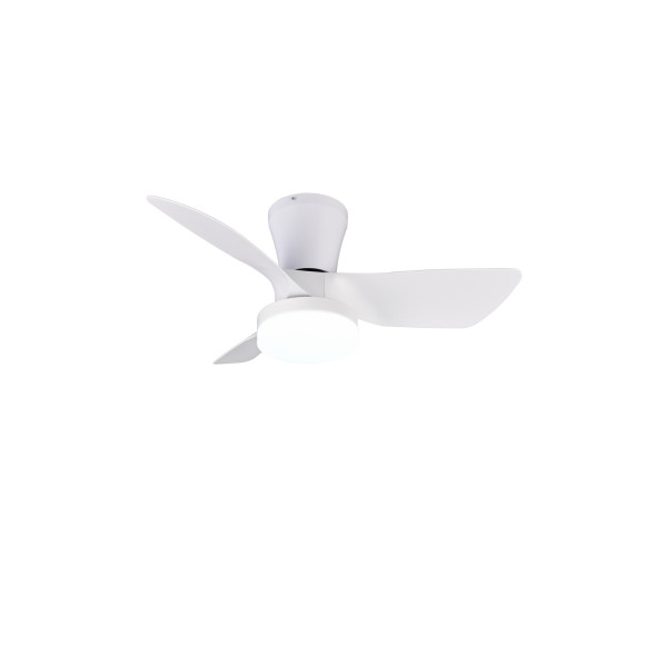 RANDERS R64412131