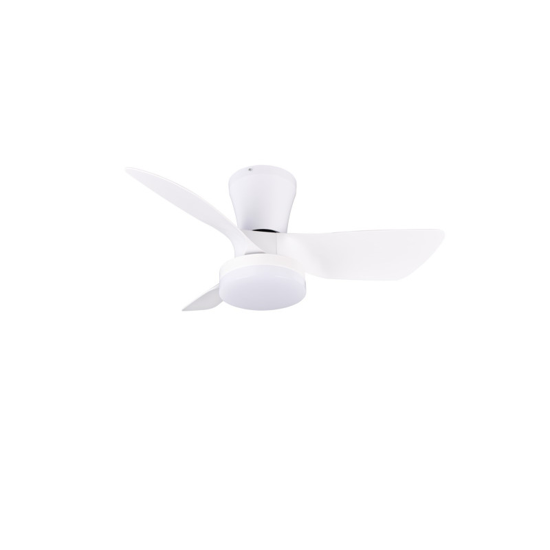 RANDERS R64412131