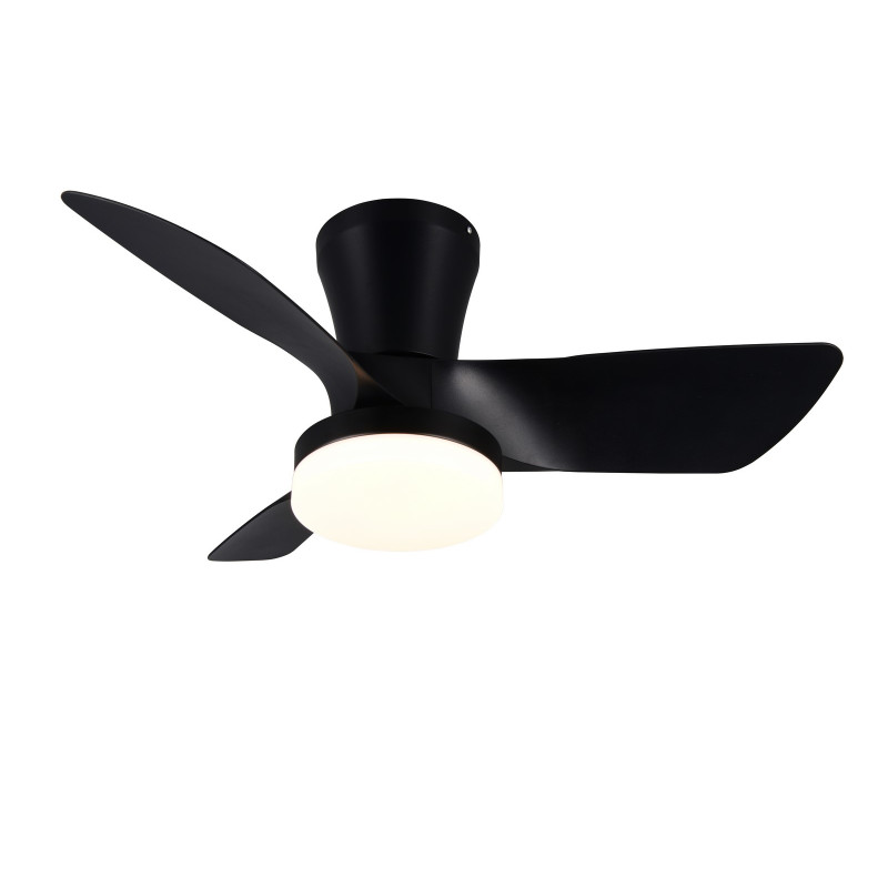 RANDERS R64412132