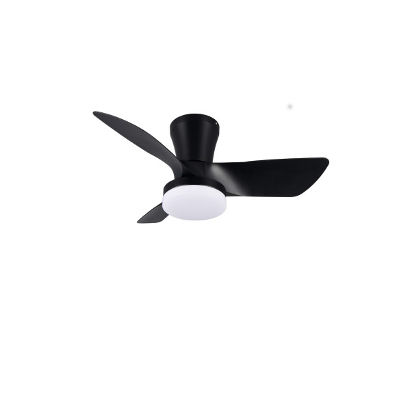 RANDERS R64412132