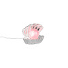 SHELLY R57731106
