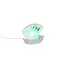 SHELLY R57731106