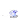 SHELLY R57731106