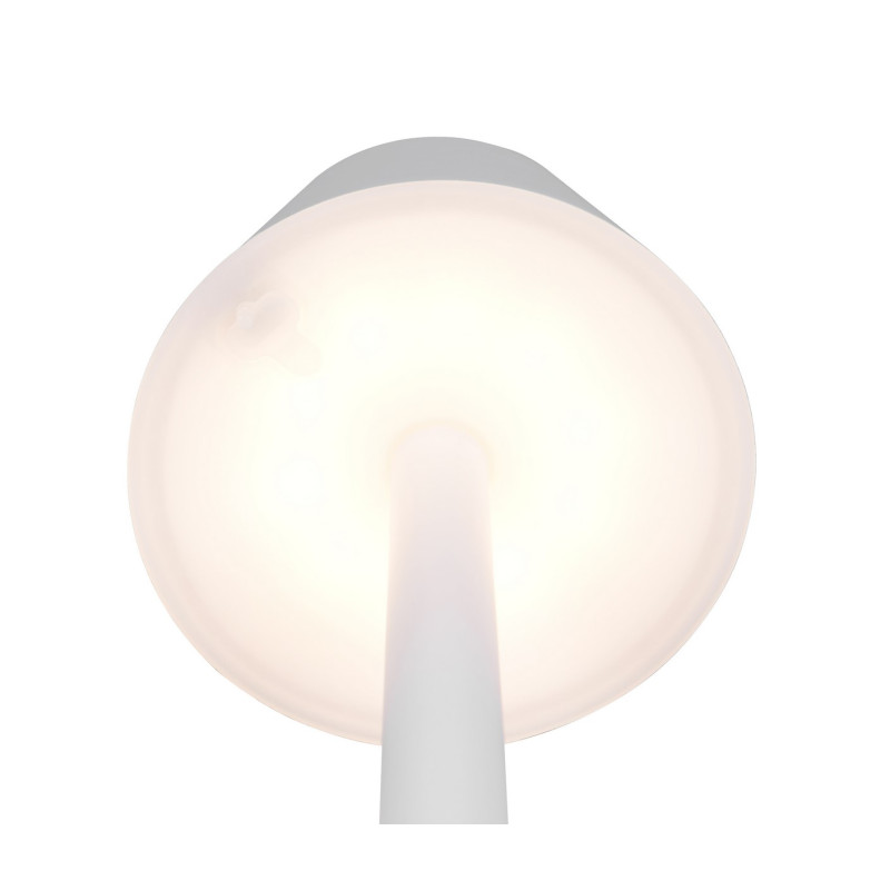 lampa stołowa VIDAL R54991131 RL | Sklep z lampami lampa stołowa VIDAL R54991131 RL | Sklep z lampami