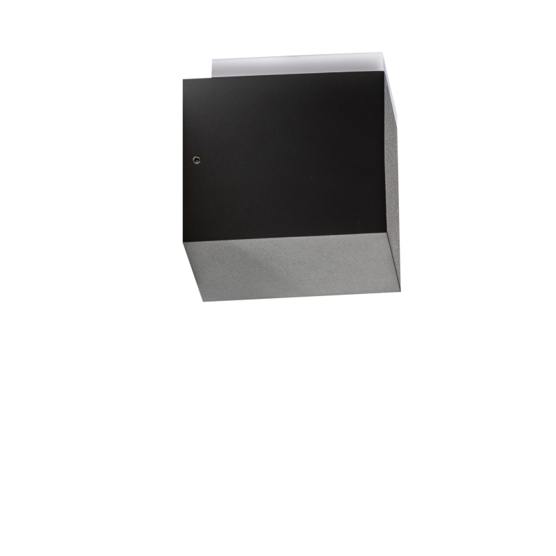 ARBAX 1 DGR | Azzardo