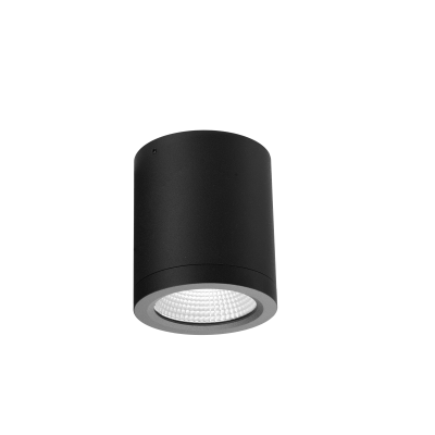 CONYON IP54 15W CCT SWITCH BK | Azzardo
