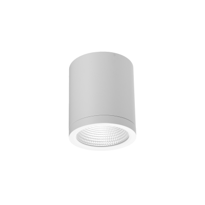 CONYON IP54 15W CCT SWITCH WH | Azzardo