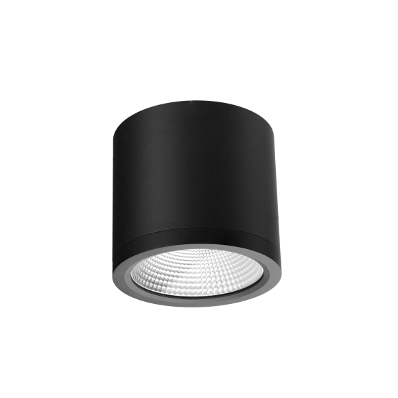 CONYON IP54 25W CCT SWITCH BK | Azzardo