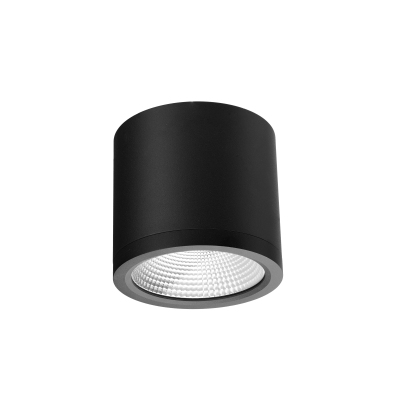 CONYON IP54 25W CCT SWITCH BK | Azzardo