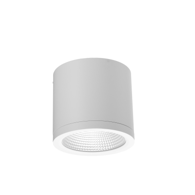 CONYON IP54 25W CCT SWITCH WH | Azzardo