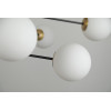 Lampa Oviedo 8 Go/Bk AZ4423 | Azzardo