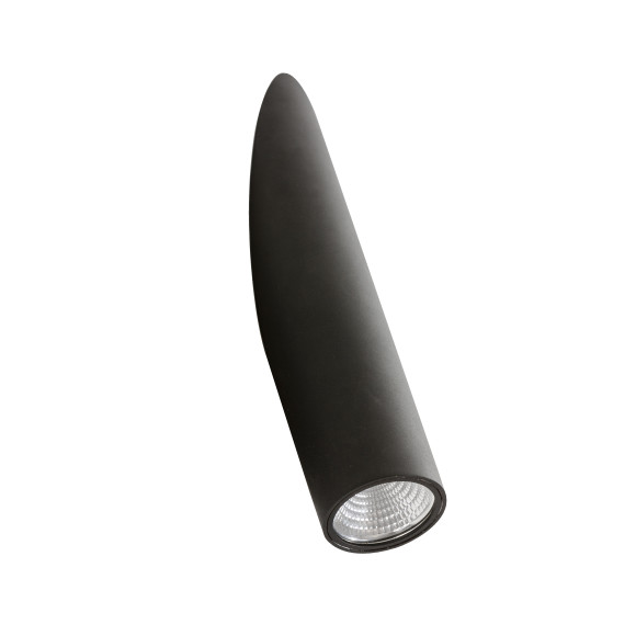 TORCH BK | Azzardo