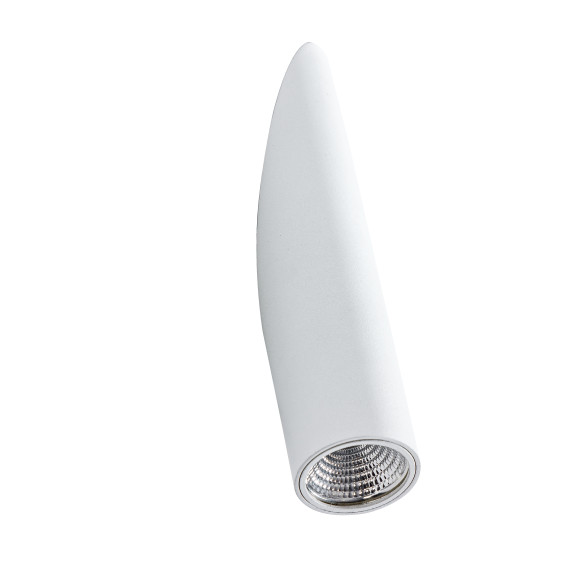 TORCH WH | Azzardo