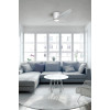 VENETI WH/OAK | Azzardo