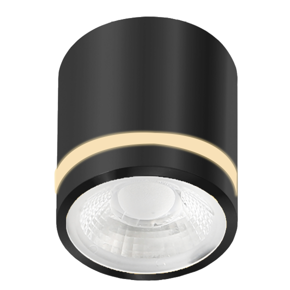 VICI IP44 12W CCT SWITCH BK | Azzardo VICI IP44 12W CCT SWITCH BK | Azzardo