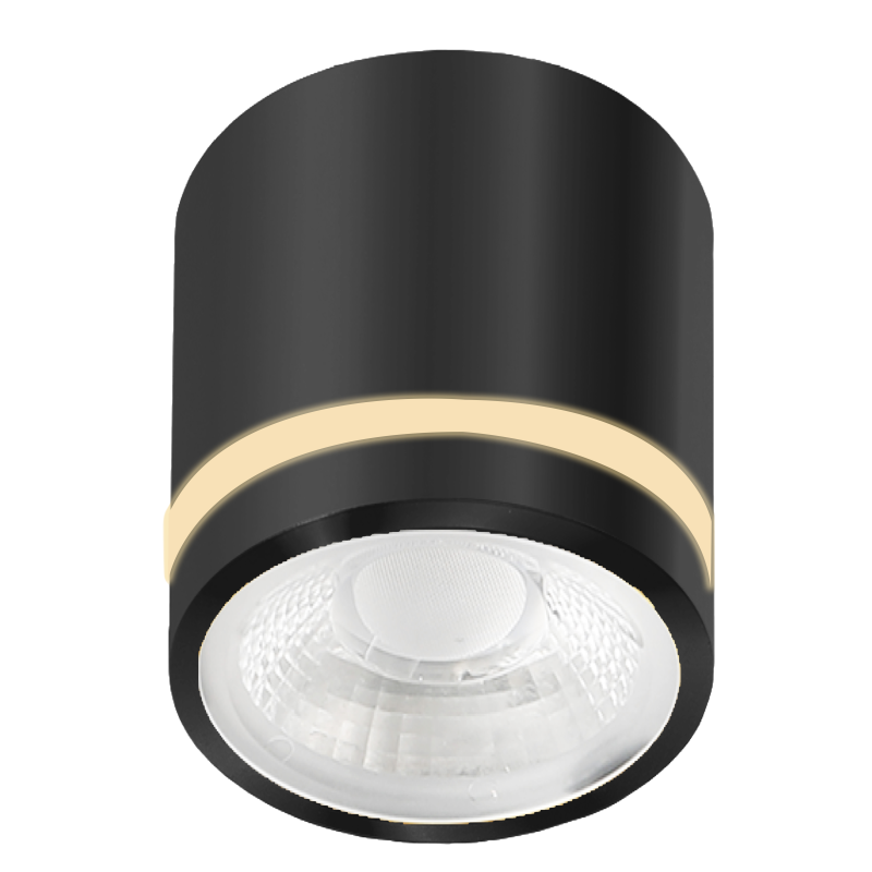 VICI IP44 12W CCT SWITCH BK | Azzardo