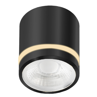 VICI IP44 12W CCT SWITCH BK | Azzardo
