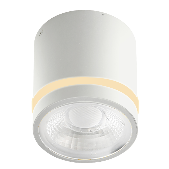 VICI IP44 12W CCT SWITCH WH | Azzardo VICI IP44 12W CCT SWITCH WH | Azzardo