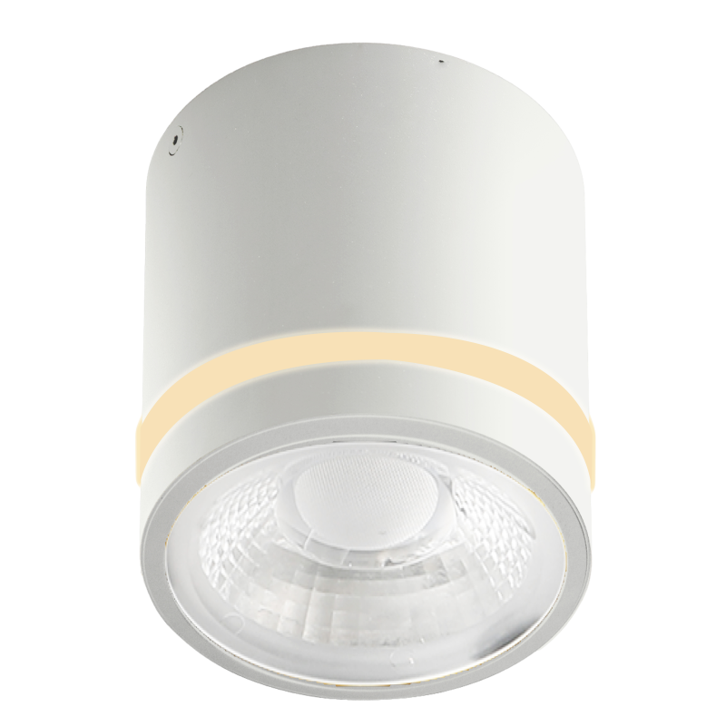 VICI IP44 12W CCT SWITCH WH | Azzardo