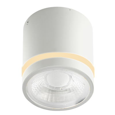 VICI IP44 12W CCT SWITCH WH | Azzardo