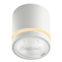 VICI IP44 12W CCT SWITCH WH | Azzardo