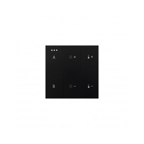 SWITCH PANEL REMOTE CONTROL 2-GROUP BLUETOOTH BK | Azzardo