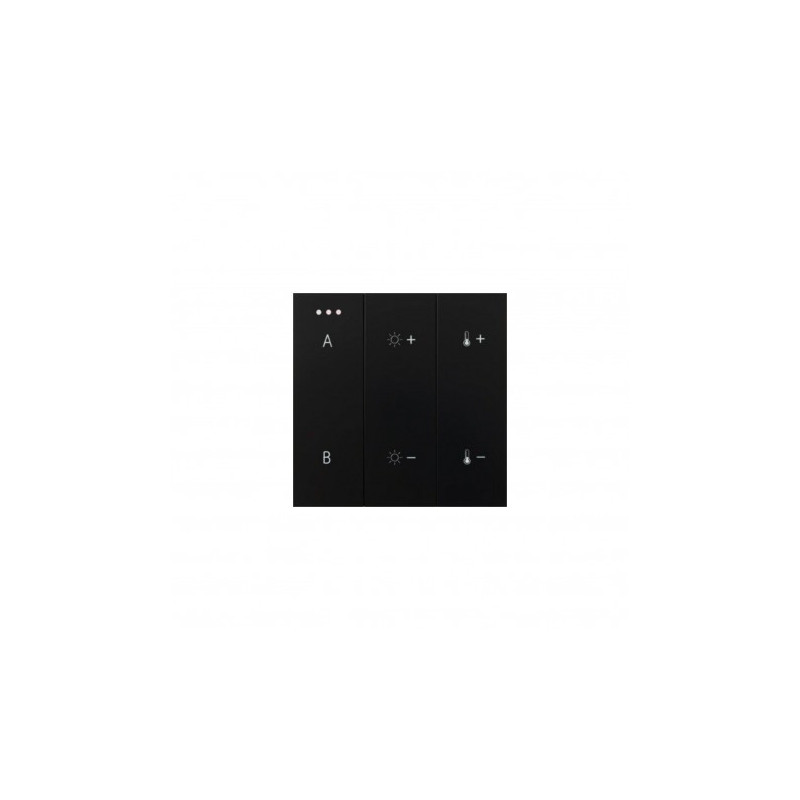 SWITCH PANEL REMOTE CONTROL 2-GROUP BLUETOOTH BK | Azzardo