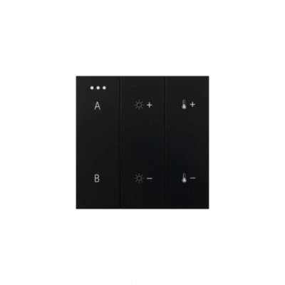 SWITCH PANEL REMOTE CONTROL 2-GROUP BLUETOOTH BK | Azzardo