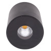 MAXLIGHT C0151 PLAZMA CZARNY IP54 | Plafon | 13 W | IP54
