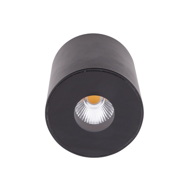 MAXLIGHT C0151 PLAZMA CZARNY IP54 | Plafon | 13 W | IP54