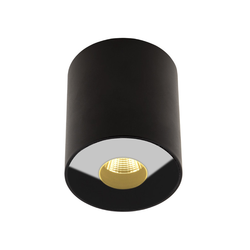 MAXLIGHT C0151 PLAZMA PLAFON CZARNY IP54 | LED ZINTEGROWANY