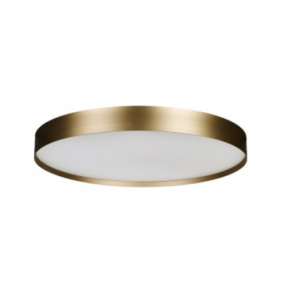 RANT 80 CCT SWITCH DIMM GO