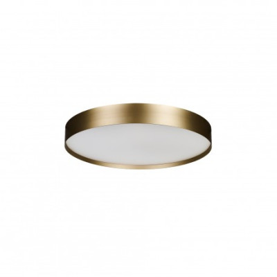 RANT 40 CCT SWITCH DIMM GO