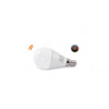 Lampa Led Smart 5W Cct Dimm Rgb Ball AZ3216 | Azzardo