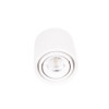 MAXLIGHT C0256 LAMPA SUFITOWA FIX 6W BIAŁA




